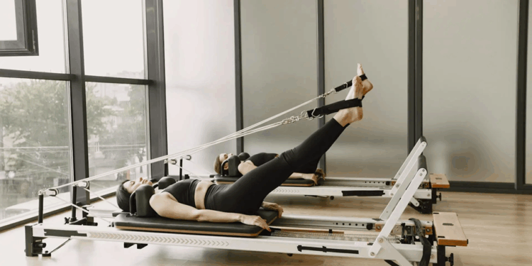 d88a4e2c 8e34 47c5 b6d5 dcae23873fcc