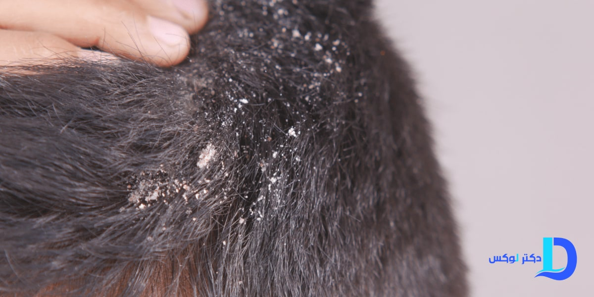 8e47efa2 8f84 4b9a 8b16 aae0458a602e