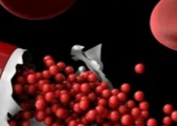 سی بی دی ساناویوا