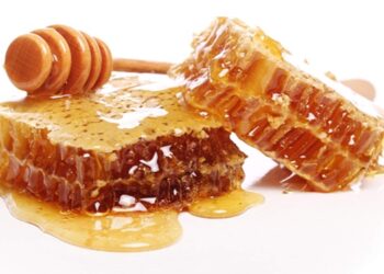 چند روش خانگی برای تشخیص عسل طبیعی | ترفندهای تست عسل اصل 19 چند روش خانگی برای تشخیص عسل طبیعی | ترفندهای تست عسل اصل