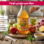 چه کسانی نباید سرکه سیب بخورند؟ | آیا سرکه سیب برای معده مضر است؟ 7 1765035660 444 چه کسانی نباید سرکه سیب بخورند؟ آیا سرکه سیب.webp