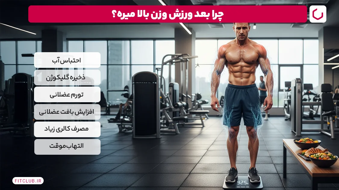 چرا با وجود ورزش و رژیم وزن اضافه می کنید؟ | چرا به باشگاه می روم و چاق می شوم؟ 10 آیا بعد از ورزش وزن اضافه می کنید؟ | باشگاه تناسب اندام
