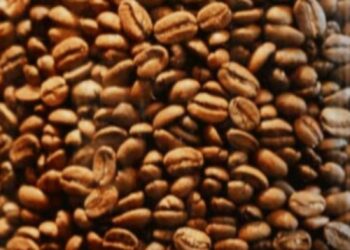 چرا باریستاهای حرفهای قهوه ترکیبی را بهترین انتخاب میدانند؟ 13 خرید قهوه ترکیبی