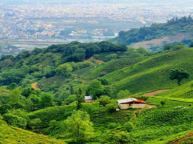 بلیط اتوبوس لنگرود تهران علی بابا
