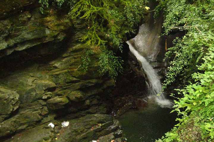 بلیط اتوبوس لنگرود تهران علی بابا