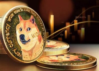 بهترین روش خرید و نگهداری دوج کوین؛ چگونه DOGE بخریم و کجا نگه داریم؟