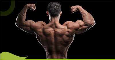 افزایش خون رسانی به عضلات با ال آرژنین