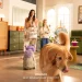 نسل بعدی هوش مصنوعی خانگی دارای چرخ و قلب است. رونمایی از ربات موبایل هوشمند OlloNi SS1 در IFA 2026 8 نسل آینده هوش مصنوعی خانگی چرخ و قلب دارد؛ رونمایی از ربات همراه و هوشمند OlloNi SS1 در IFA 2026