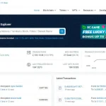 میم کوین های انفجاری را شناسایی کنید 5 1788324860 511 میم کوین های انفجاری را شناسایی کنید