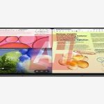 1790507662 35 رندرهای جدیدی از Galaxy Tab S12 و Galaxy Tab S12