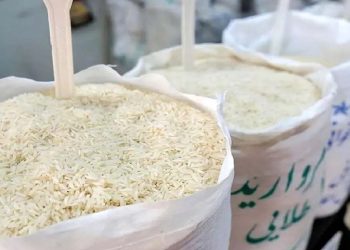 آخرین قیمت برنج در بازار برنج عنبر کیسه ای