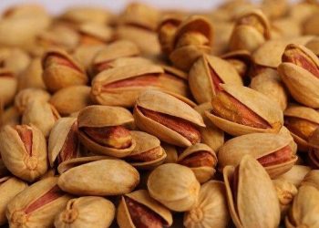 اختصاص ارز حاصل از صادرات پسته برای واردات کالای اساسی 18 اختصاص ارز حاصل از صادرات پسته برای واردات کالای اساسی