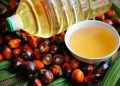 ارزش ۳۹۶میلیون دلاری روغن پالم وارداتی ایران در ۲۰۲۵؛ ارزش