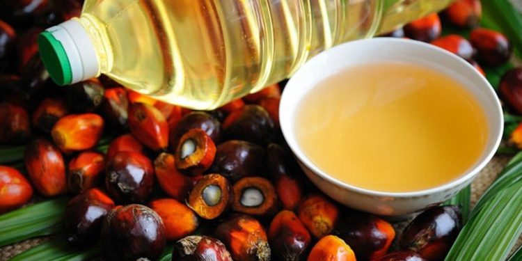 ارزش ۳۹۶میلیون دلاری روغن پالم وارداتی ایران در ۲۰۲۵؛ ارزش