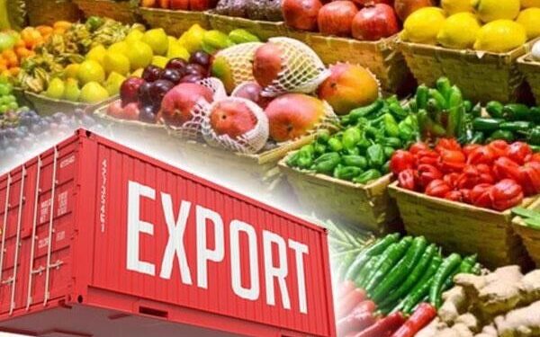 افت صادرات کشاورزی اروپا زیرسایه جنگ 1 افت صادرات کشاورزی اروپا زیرسایه جنگ