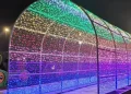 تزیین دکوراسیون داخلی و خاجی با ریسه های سوزنی