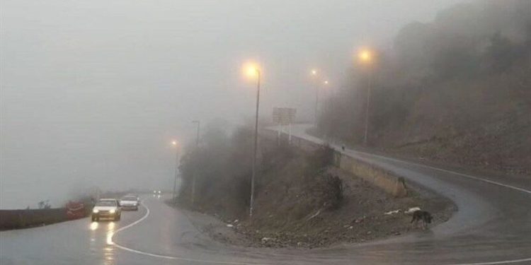 جاده چالوس یک‌طرفه شد