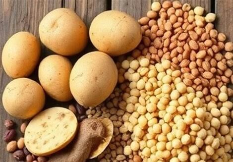 رشد ۲۳۳ درصدی تولید بذر سیب‌زمینی در استان ایلام