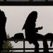 زندگی مجردی دور از دسترس ایرانیانحقوق ها کافی نیست