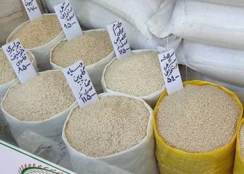 شوک قیمت برنج به بازار کشاورزان برنج را نگه داشتند؟