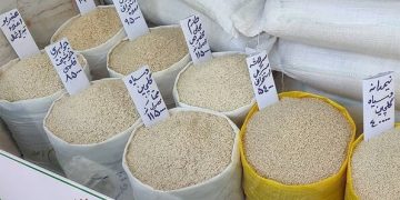 شوک قیمت برنج به بازار کشاورزان برنج را نگه داشتند؟