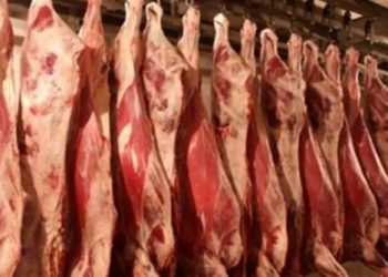قیمت گوشت وارداتی اعلام شد؛ آیا بازار در نیمه دوم