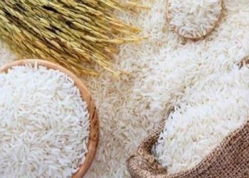لیست قیمت انواع برنج در بازار / برنج هندی و پاکستانی درجه یک کیلویی چند؟ 2 لیست قیمت انواع برنج در بازار برنج هندی و