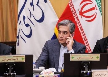 مجلس از تشکیل فدراسیون گردشگری حمایت می‌کند