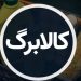 همه چیز درباره افزایش 300 تا 500 هزار تومانی اعتبار کالاها/ مشمولان مشخص شد. 13 همه چیز درباره افزایش 300 تا 500 هزار تومانی اعتبار