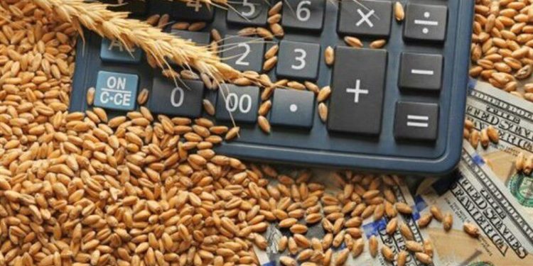 پرداخت ۷۳۴ همت دیگر از مطالبات گندم‌کاران کشور آغاز شد