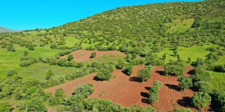 ۲۵ هکتار از اراضی ملی و ساحلی غرب مازندران رفع تصرف شد 1 ۲۵ هکتار از اراضی ملی و ساحلی غرب مازندران رفع