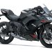Black Kawasaki Ninja sport motorcycle shown in side profile with red accents and disc brakes, brand visible on fairing.
