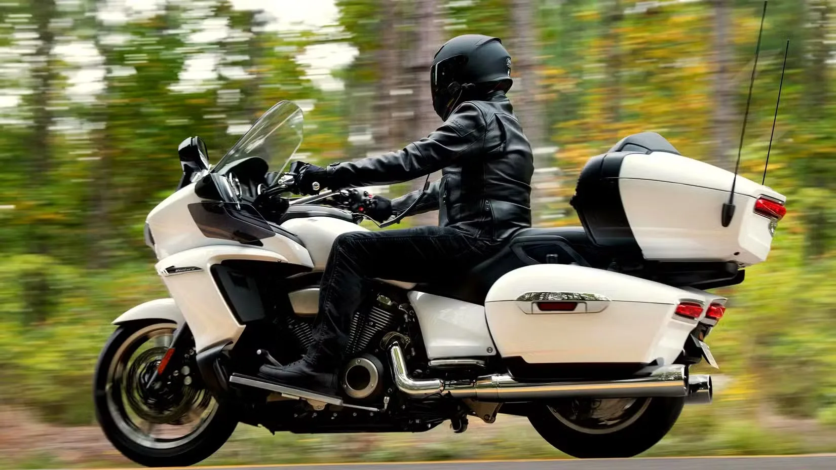 Rider in black leather gear on a white touring motorcycle with a top case, moving along a forest road.