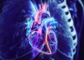 Colorful neon illustration of a human heart with glowing arteries against a dark background (anatomical, vibrant colors)