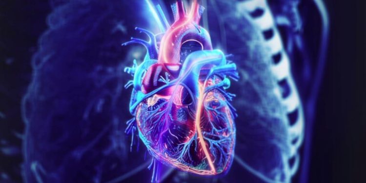 Colorful neon illustration of a human heart with glowing arteries against a dark background (anatomical, vibrant colors)