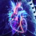 Colorful neon illustration of a human heart with glowing arteries against a dark background (anatomical, vibrant colors)