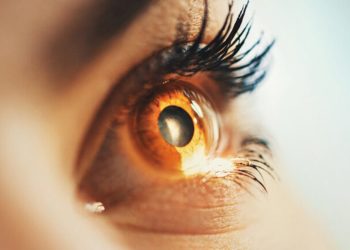 Close-up of a brown-orange iris with bright light reflecting in the pupil and long lashes visible on the eyelid edge