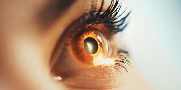 Close-up of a brown-orange iris with bright light reflecting in the pupil and long lashes visible on the eyelid edge