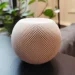 آیا HomeView اولین موفقیت اپل در بازار خانه های هوشمند
