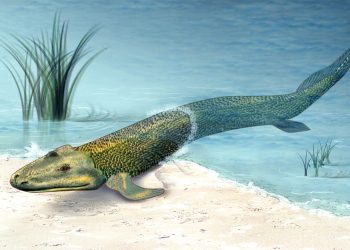 Large greenish fish lies on a sandy shoreline with blue water in the background (artistic illustration).
