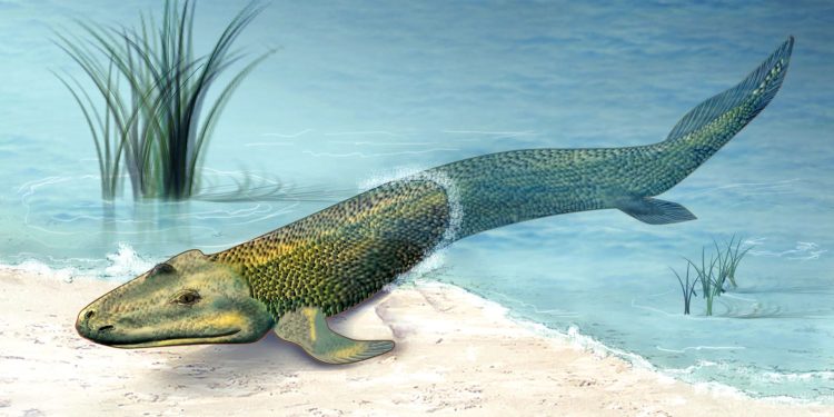 Large greenish fish lies on a sandy shoreline with blue water in the background (artistic illustration).