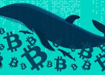 احتمال فروش بیت‌ کوین توسط سرمایه‌گذاران خرد؛ نهنگ‌ها فعلا عقب