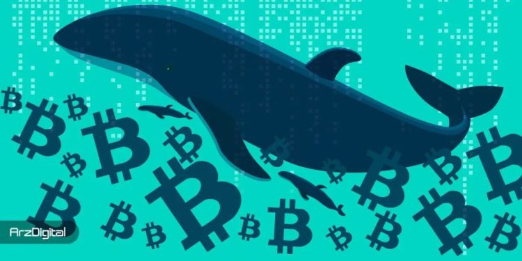 احتمال فروش بیت‌ کوین توسط سرمایه‌گذاران خرد؛ نهنگ‌ها فعلا عقب