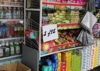 اخبار جدید از افزایش مقدار کالابرگ در این شرایط 4 اخبار جدید از افزایش مقدار کالابرگ در این شرایط