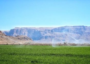افزایش محصولات ۵۰ درصد با تکمیل سیستم آبیاری نوین کشاورزی