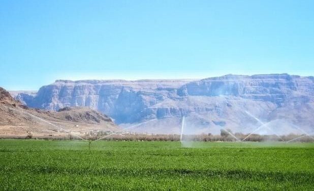 افزایش محصولات ۵۰ درصد با تکمیل سیستم آبیاری نوین کشاورزی ایلام 1 افزایش محصولات ۵۰ درصد با تکمیل سیستم آبیاری نوین کشاورزی