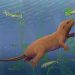 Beaver swimming underwater among tall green aquatic plants, with small fish nearby.