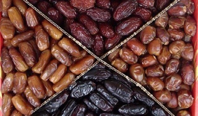 برداشت ۳۸ هزار تن خرمای صادراتی در هرمزگان 1 برداشت ۳۸ هزار تن خرمای صادراتی در هرمزگان