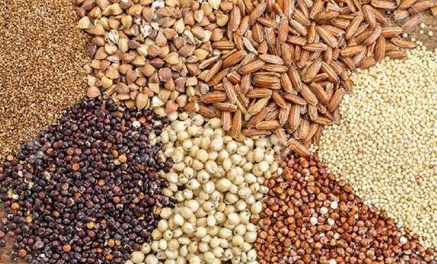 تعاون روستایی خراسان‌شمالی ۲۲ هزار تن نهاده دامی توزیع کرد