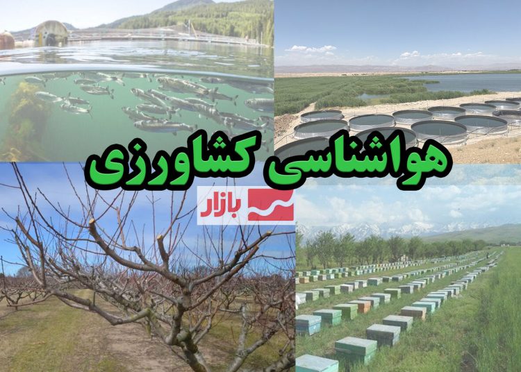 توصیه هواشناسی کشاورزی به کشاورزان آماده بارش و وزش باد